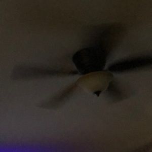 Meet your Posher, Bridgette